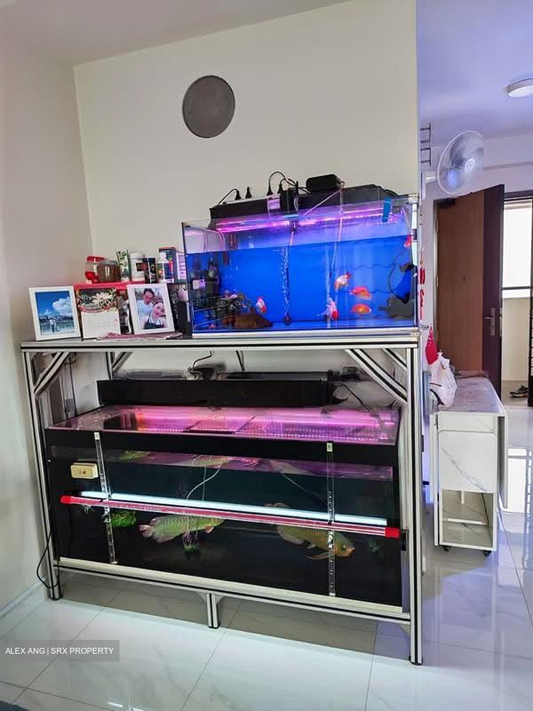 Blk 421A Northshore Straitsview (Punggol), HDB 2 Rooms #559564171